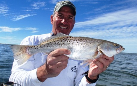 Speckled Trout